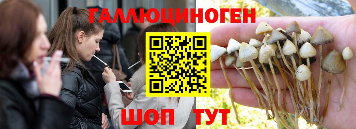 Галлюциногенные грибы Cubensis Южно-Сахалинск